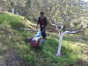 Power Tiller in Deha apple orchard